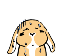 Hi!! I'm Rabbit. 4th!! sticker #12116824