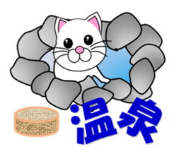 Summer of a white cat sticker #12117396