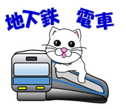 Summer of a white cat sticker #12117408