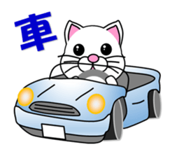 Summer of a white cat sticker #12117409