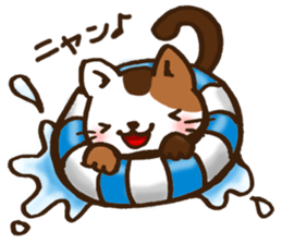 Summer of tortoiseshell cat.etc sticker #12119187