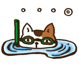 Summer of tortoiseshell cat.etc sticker #12119192