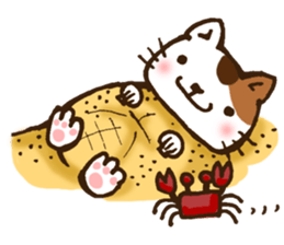 Summer of tortoiseshell cat.etc sticker #12119193