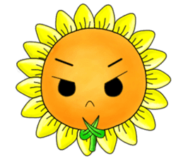 I'm Mr. Sunflower sticker #12120905