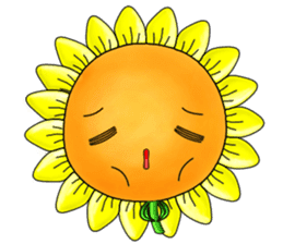 I'm Mr. Sunflower sticker #12120915