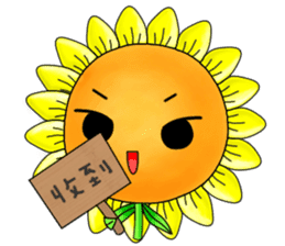 I'm Mr. Sunflower sticker #12120931