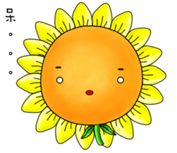 I'm Mr. Sunflower sticker #12120939