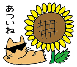 humstar momo2 sticker #12123007