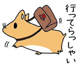 humstar momo2 sticker #12123019