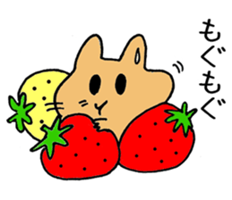 humstar momo2 sticker #12123027