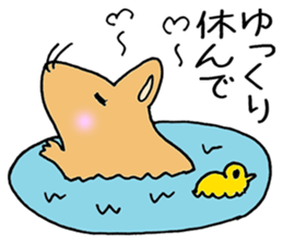 humstar momo2 sticker #12123034