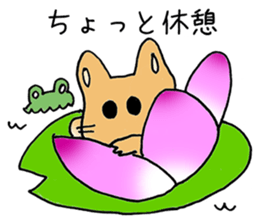 humstar momo2 sticker #12123035