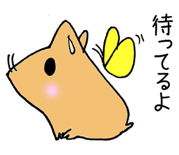 humstar momo2 sticker #12123039