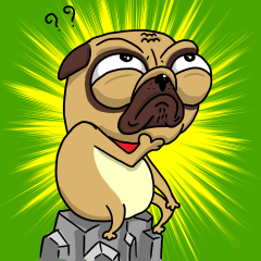 Puggy&Tina : Choose your choice!!