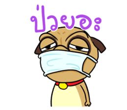 Puggy&Tina : Choose your choice!! sticker #12125239