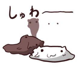 White and square cat sticker #12125301