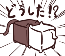 White and square cat sticker #12125304