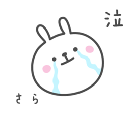 SARA's basic pack,cute rabbit sticker #12127240