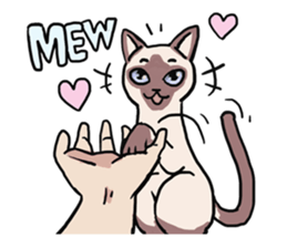 AsB - 125 Sabai Girls Love You sticker #12131179