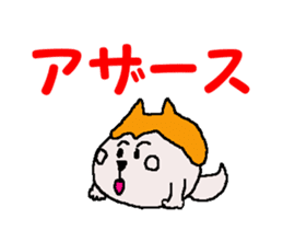 Shiba inu MOMO chan the third as well 2 sticker #12135503