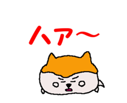 Shiba inu MOMO chan the third as well 2 sticker #12135516