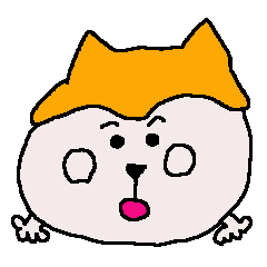 Shiba inu MOMO chan the third as well 2