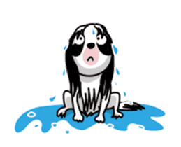 MONAKA of a Japanese Spaniel which moves sticker #12135787