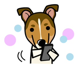 iinu - Smooth Collie sticker #12139410