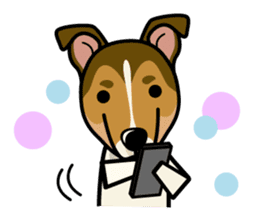 iinu - Smooth Collie sticker #12139410