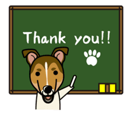 iinu - Smooth Collie sticker #12139412