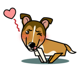 iinu - Smooth Collie sticker #12139414