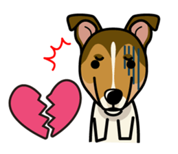 iinu - Smooth Collie sticker #12139415
