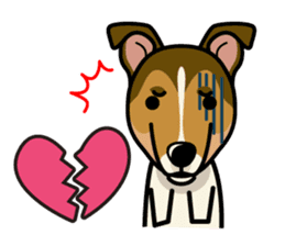 iinu - Smooth Collie sticker #12139415