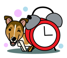 iinu - Smooth Collie sticker #12139419