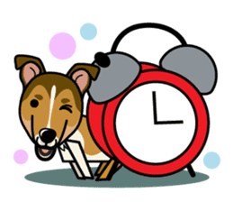 iinu - Smooth Collie sticker #12139419