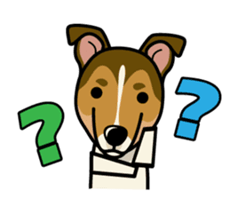 iinu - Smooth Collie sticker #12139420