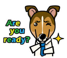 iinu - Smooth Collie sticker #12139421