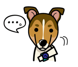 iinu - Smooth Collie sticker #12139424