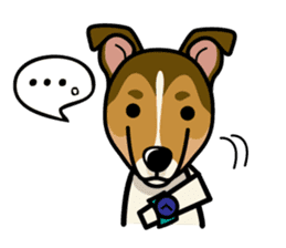 iinu - Smooth Collie sticker #12139424