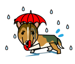 iinu - Smooth Collie sticker #12139426