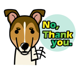 iinu - Smooth Collie sticker #12139427