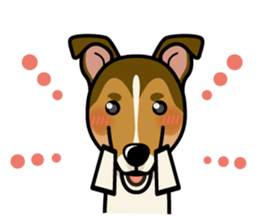 iinu - Smooth Collie sticker #12139430
