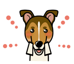 iinu - Smooth Collie sticker #12139430