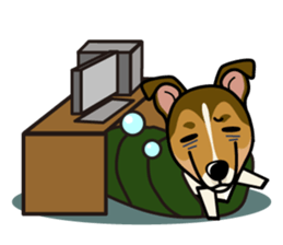 iinu - Smooth Collie sticker #12139433