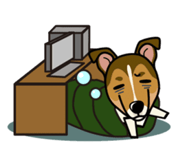 iinu - Smooth Collie sticker #12139433