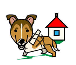 iinu - Smooth Collie sticker #12139435