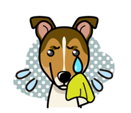 iinu - Smooth Collie sticker #12139440