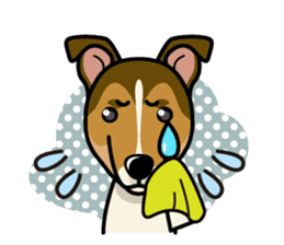 iinu - Smooth Collie sticker #12139440