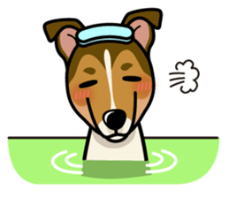 iinu - Smooth Collie sticker #12139443