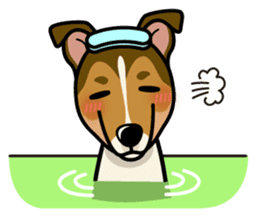 iinu - Smooth Collie sticker #12139443